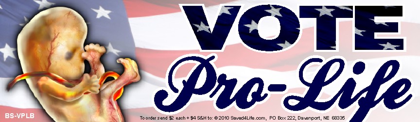 Vote Pro-Life (Fetus) 3.5x12 Bumper Sticker